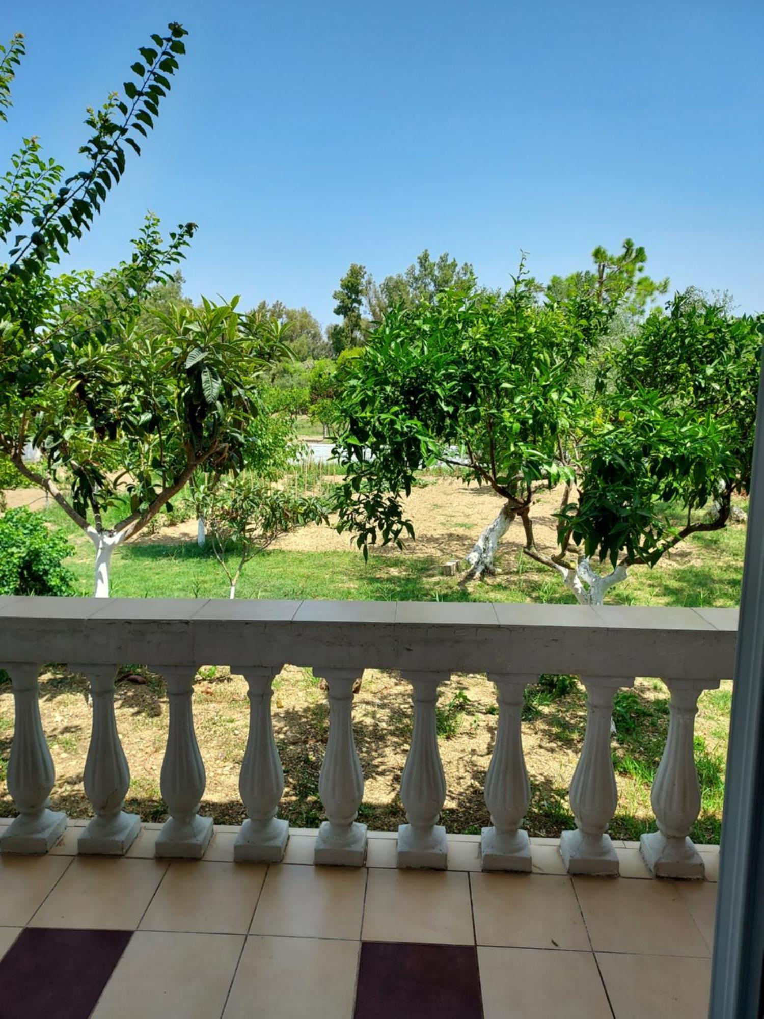 Canditas Studios Tsilivi  Dış mekan fotoğraf