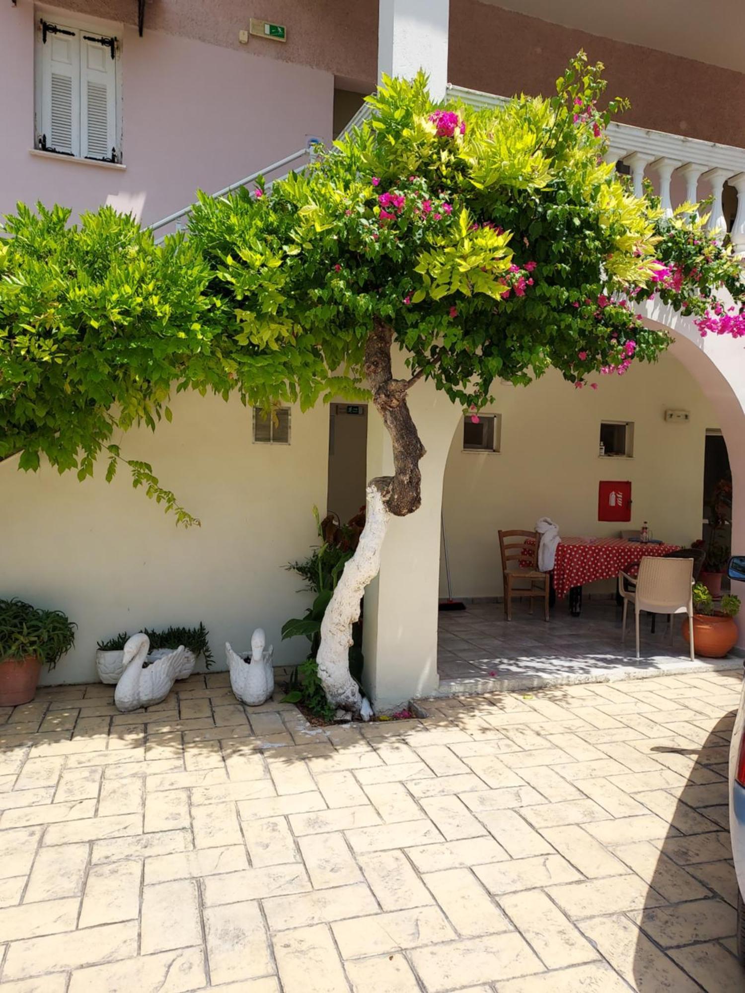 Canditas Studios Tsilivi  Dış mekan fotoğraf